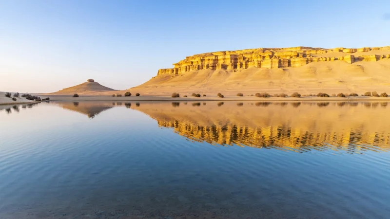 2 Day Trip to Fayoum & Wadi Hitan from Cairo